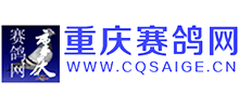 重庆赛鸽网