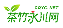 茶竹永川网