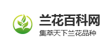 兰花百科网