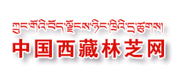 中国西藏林芝网