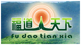 广州福道三角茶包加工厂