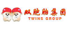 双胞胎集团