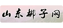 山东梆子网