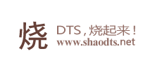 烧DTS音乐网