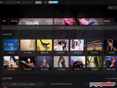 大众车载影音网