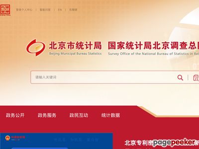 北京市统计局，北京统计直报网，北京统计联网直报系统