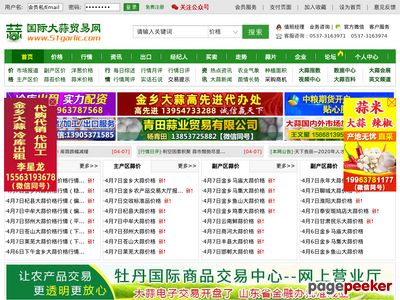 国际大蒜贸易网