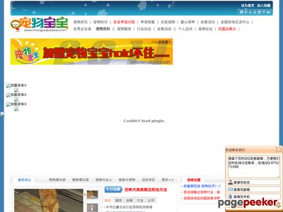 宠物宝宝