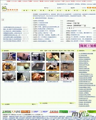 宠物领养网