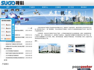 东莞市视科电子有限公司
